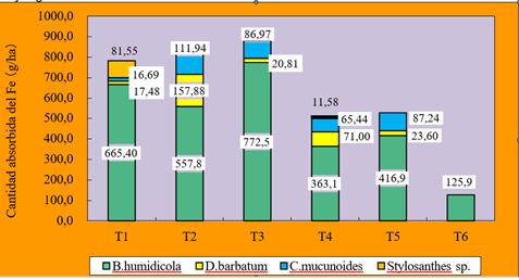  Cantidad absorbida del Fe en cada pasto y
en cada tratamiento.

 