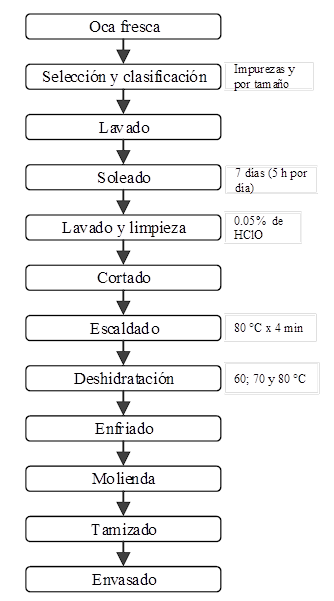 Diagrama de flujo para la obtención harina de oca deshidratada
mediante lecho fluidizado.