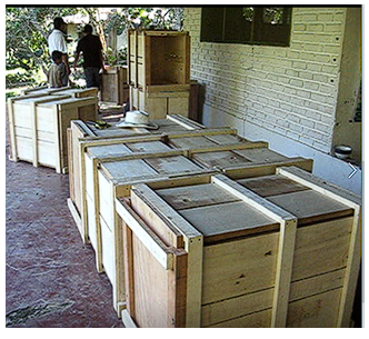 Jabas para el transporte de los pecaríes.