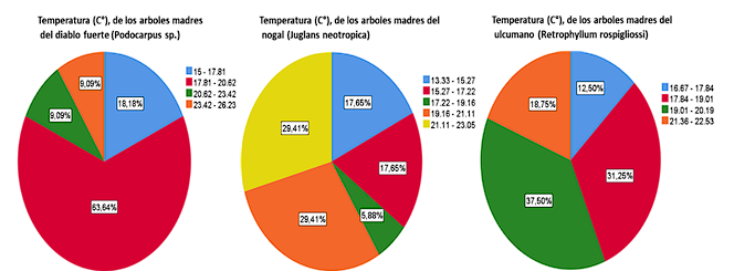 Temperatura (C°) de su hábitat de las plantas madre
de diablo fuerte (Podocarpus sp.),
nogal (Juglans neotropica)
y del ulcumano (Retrophyllum rospigliosii).