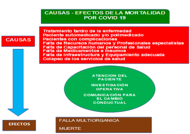 Causas – efectos mortalidad por COVID-19
municipio de la Santísima Trinidad