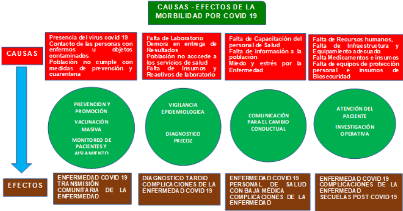 Causas – efectos morbilidad por COVID-19
municipio de la Santísima Trinidad