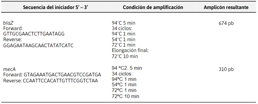 Protocolo de
amplificaci&oacute;n de los genes blaZ, mecA, vanA