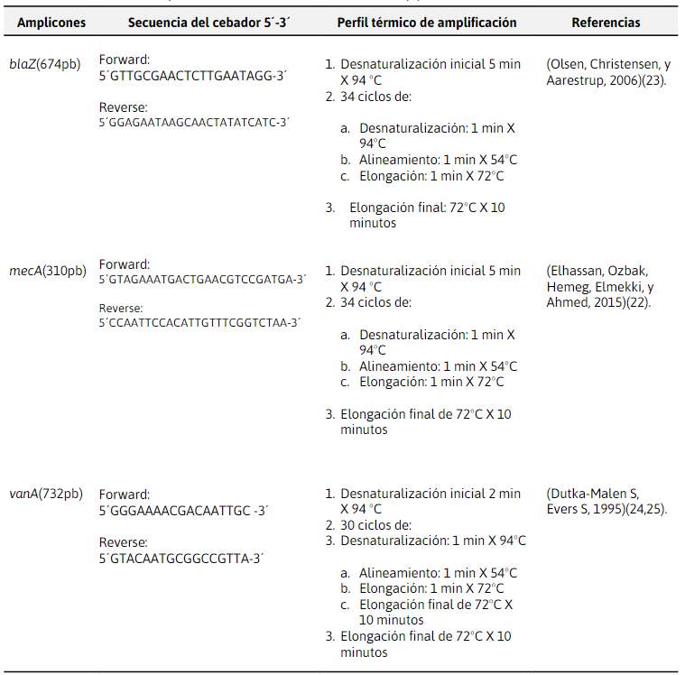Tamaño de amplicones, secuencia de cebadores y perfil
térmico de la PCR