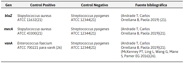 Controles positivos y negativos utilizados para la
amplificación de los genes descritos