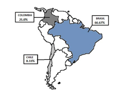 Distribución en porcentaje
de acuerdo con los artículos encontrados a nivel de América Latina