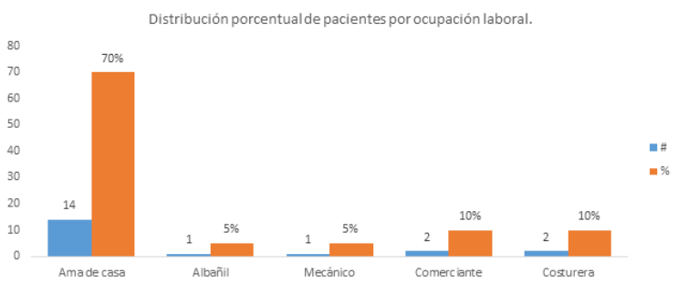 Distribuci&oacute;n porcentual por ocupaci&oacute;n laboral