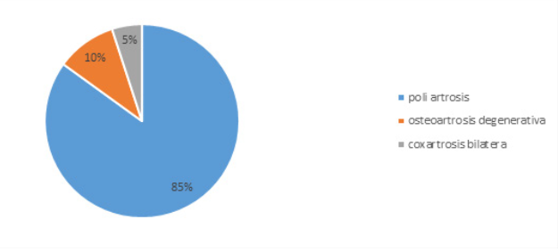 Distribuci&oacute;n porcentual por patolog&iacute;a