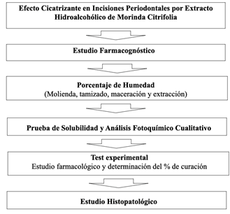 Diagrama de flujo completo del estudio
