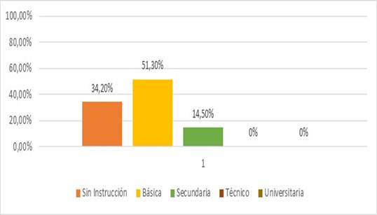 Nivel de instrucción de la madre en la comunidad de Tiquipa