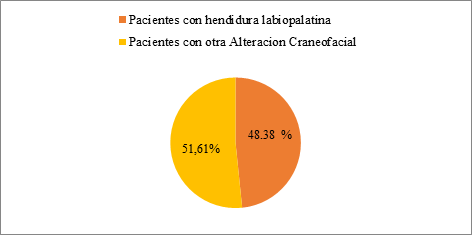 Distribución
por número de pacientes atendidos A.V.A.I.P.A.C.F. Valencia.2016-2017 (Fuente:
datos de la investigación)