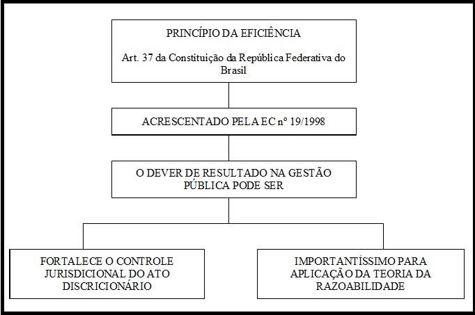 Quadro resumido do surgimento e funcionalidade do princípio da
eficiência.
