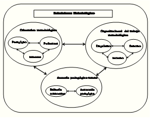  Figura 2.1.1