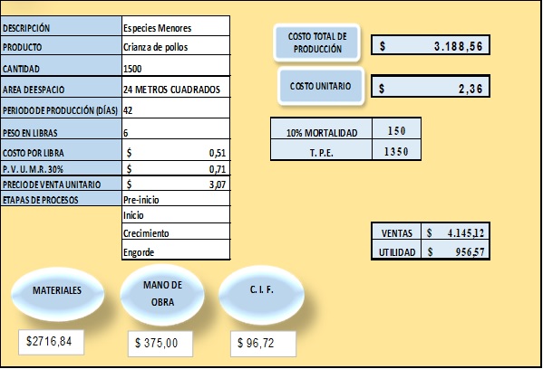 Cálculo de costos especies menores. Ejemplo: crianza de pollos.