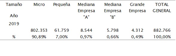 

Representación porcentual de las Pymes
durante el año 2019