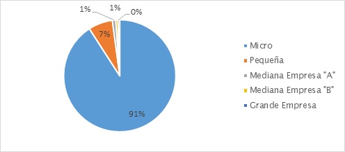Clasificación de
las empresas por su tamaño (2019)