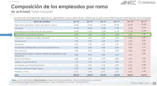 Tabla 1: Composición de empleados por rama