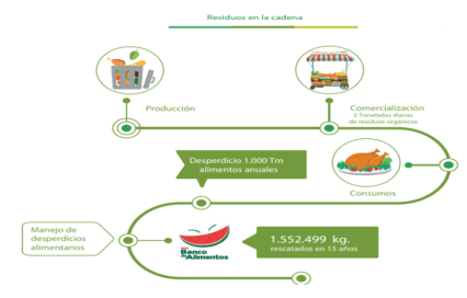 Ilustraci&oacute;n 11