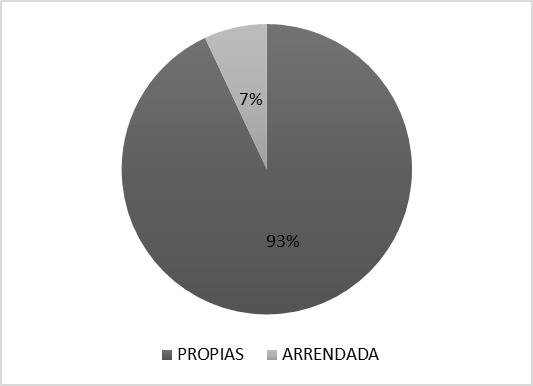 Figura 1
