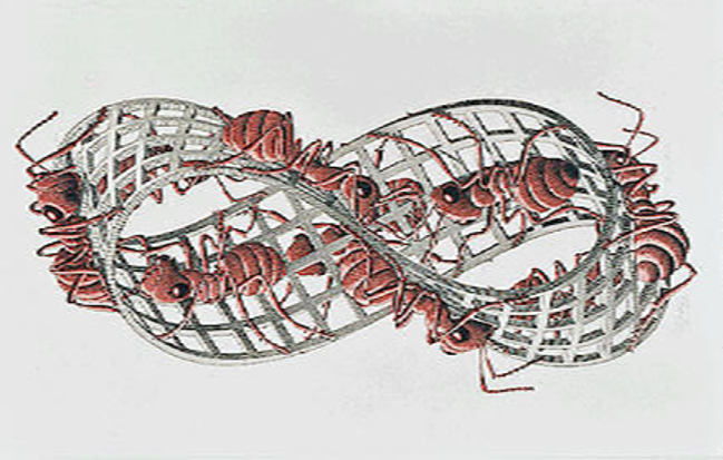 Möbius Strip II, por M. C. Escher (1963).