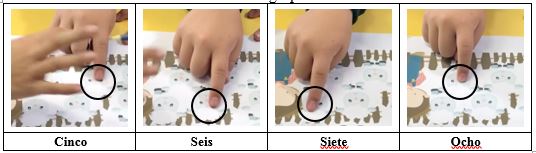 Conteo realizado por Luisa de las siguientes cuatro
ovejas que conforman al cuarto grupo.