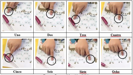 Conteo realizado por Luisa de las ocho ovejas que conforman al quinto grupo.