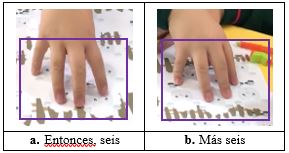 Figura 8a captura de las primeras seis
ovejas. Figura 8b captura de las siguientes seis ovejas.