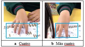 Figura 10a
captura de las primeras cuatro ovejas. Figura 10b captura de las siguientes
cuatro ovejas.