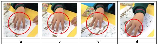 Figura 1a primer grupo de ovejas encerrado.
Figura 1b primer grupo de ovejas nuevamente encerrado. Figura 1c segundo grupo
encerrado. Figura 1d tercer grupo encerrado.