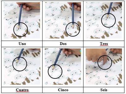 Conteo realizado por Brenda de cinco de las seis
ovejas que conforman al tercer grupo y conteo de la oveja número seis por parte
de Luisa.