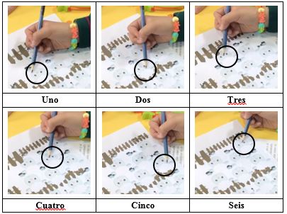 Conteo realizado por Brenda de las seis
ovejas que conforman al segundo grupo.