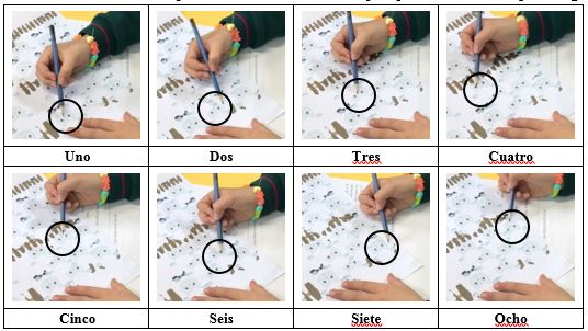 Conteo realizado por Brenda de las ocho ovejas que conforman al primer grupo.