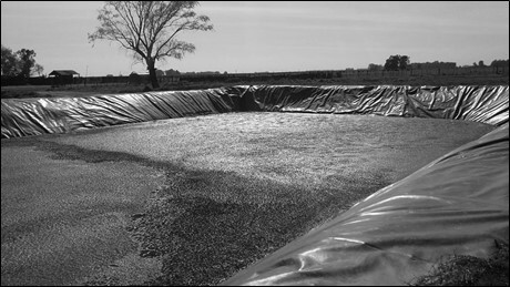 Pileta deposición de biofertilizante