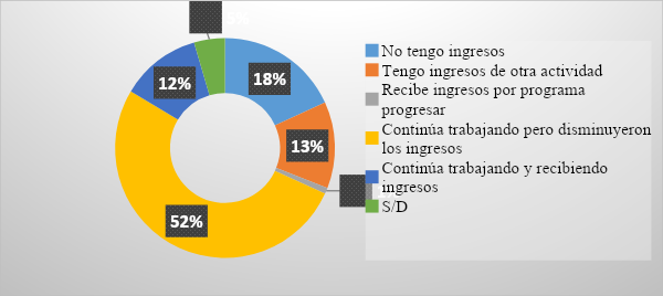 &iquest;C&oacute;mo
se vio afectado su nivel de ingreso con el aislamiento social?