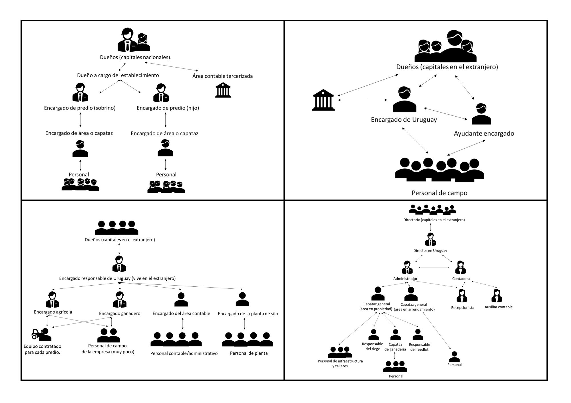 estructura organizativa de las empresas grandes de la zona de Young
