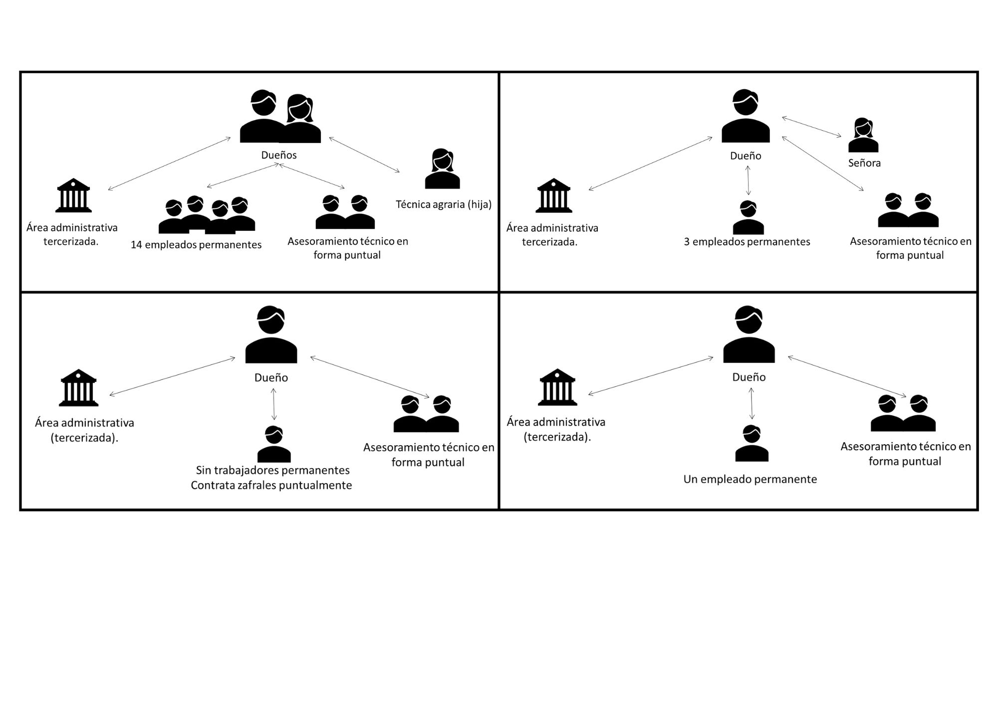 estructura organizativa de las empresas medias a chicos de la zona de Young