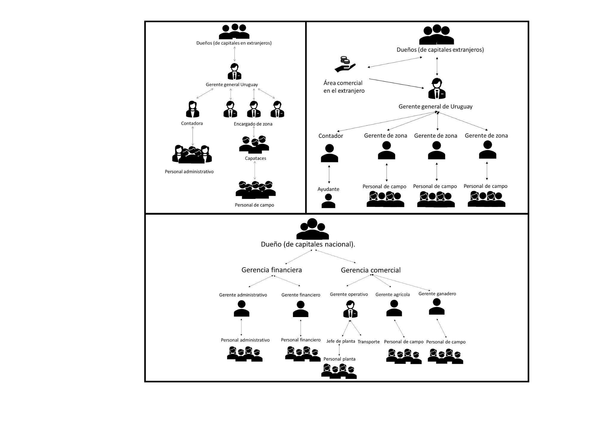 estructura organizativa de las empresas multilocalizadas de la zona