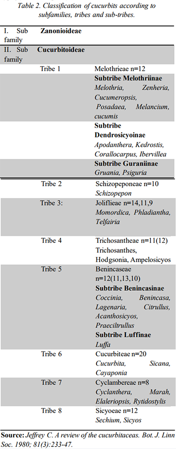 Classification of cucurbits according to subfamilies tribes and subtribes