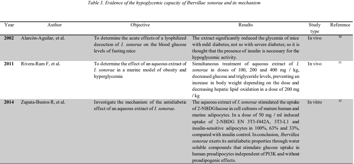 Evidence of the hypoglycemic capacity of Ibervillae sonorae and its mechanism