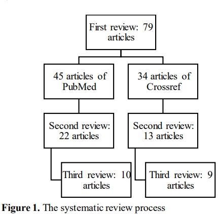 The systematic review process