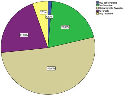 Representación de las categorías de la sinergia afectiva. 