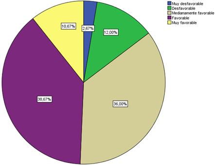  Representación de las categorías de la sinergia conductual.
