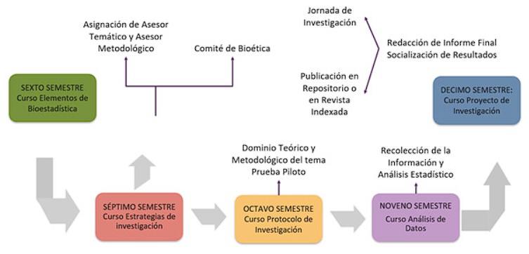 Esquema de la investigación en Pregrado