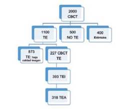 Figura 1. Diagrama de flujo del proceso de selección de la muestra