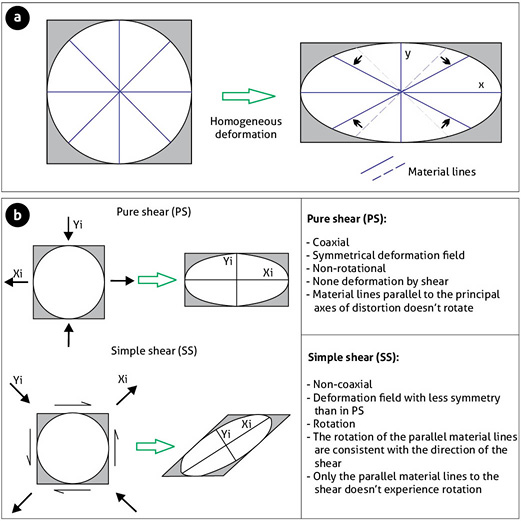 Homogeneous Deformation Concepts