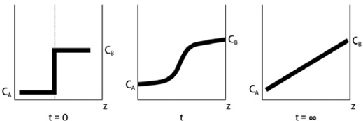 Diffusion with stable wells in the boundaries