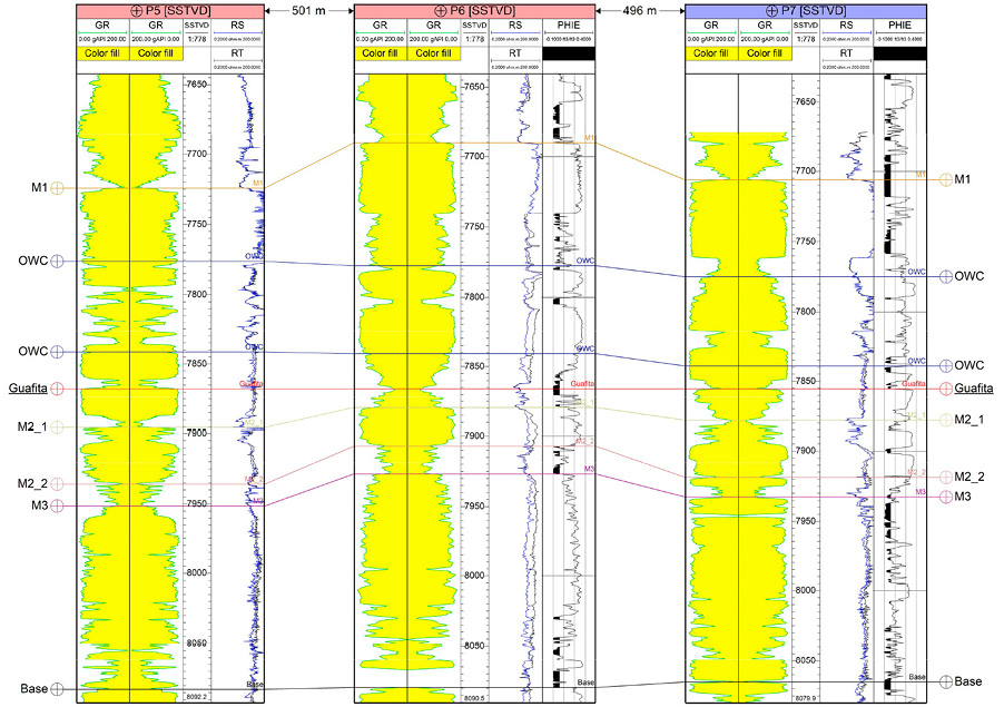Stratigraphic correlation of the seven wells