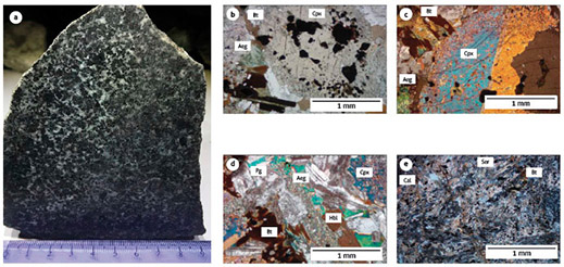 La Horqueta diorite at Las Camelias mineralized structure