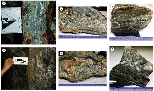 Las Camelias mineralized structure. Subparallel veins with the presence of pyrite, chalcopyrite, arsenopyrite, sphalerite and galena. Host rock corresponds to hornfels with mudstone protolite
			a and d) Late quartz-pyrite veins. b-c-e-f) Hand samples of mineralized country rocks and veins with high contents of sulfides and chloritic alteration.
