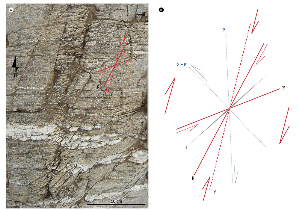 Interpretation of Riedel shears in outcrop